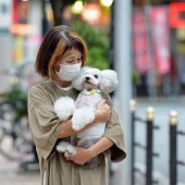 Thị trường thú cưng Trung Quốc - mảnh đất “màu mỡ” với các công ty Nhật